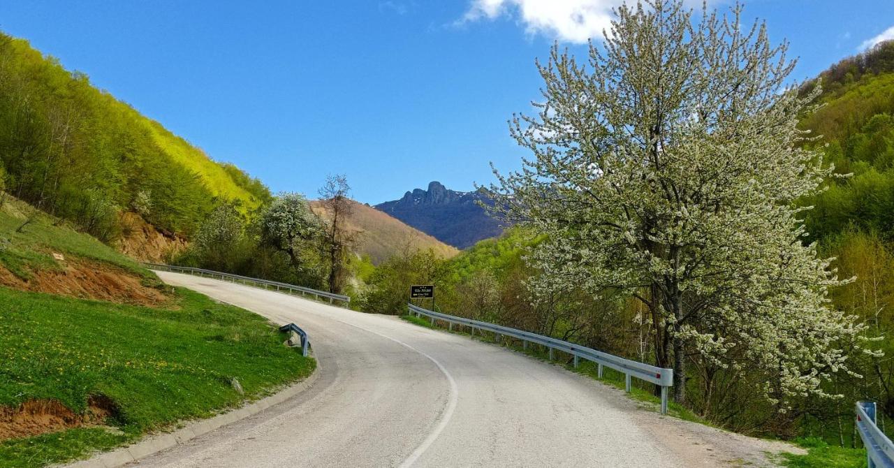 Vila Nada Crni Vrh Buitenkant foto
